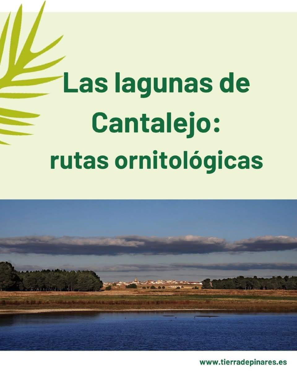 Senderismo en las Lagunas de Cantalejo