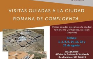 Visitas guiadas a la ciudad romana de Confloenta en Duratón