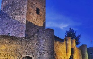 Castillos de la Provincia de Segovia.