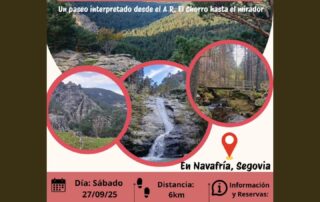 Ruta guiada al mirador de los Castillejos.