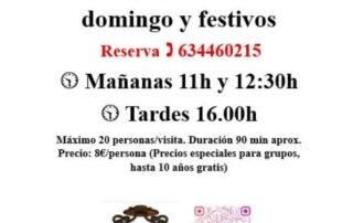 Visitas Guiadas al Castillo de Turégano