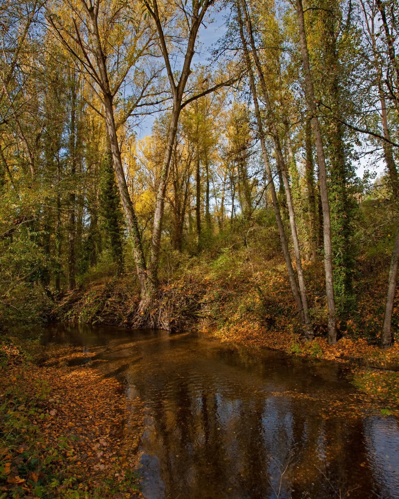 La Senda de los Pescadores. Cuéllar