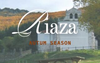 Senderismo por Riaza y Alrededores