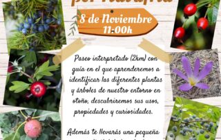 Paseo Botánico por Navafría