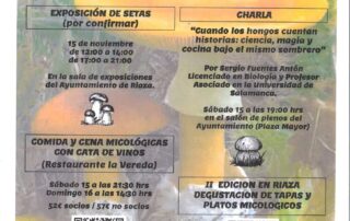 Jornadas Micológicas en Riaza