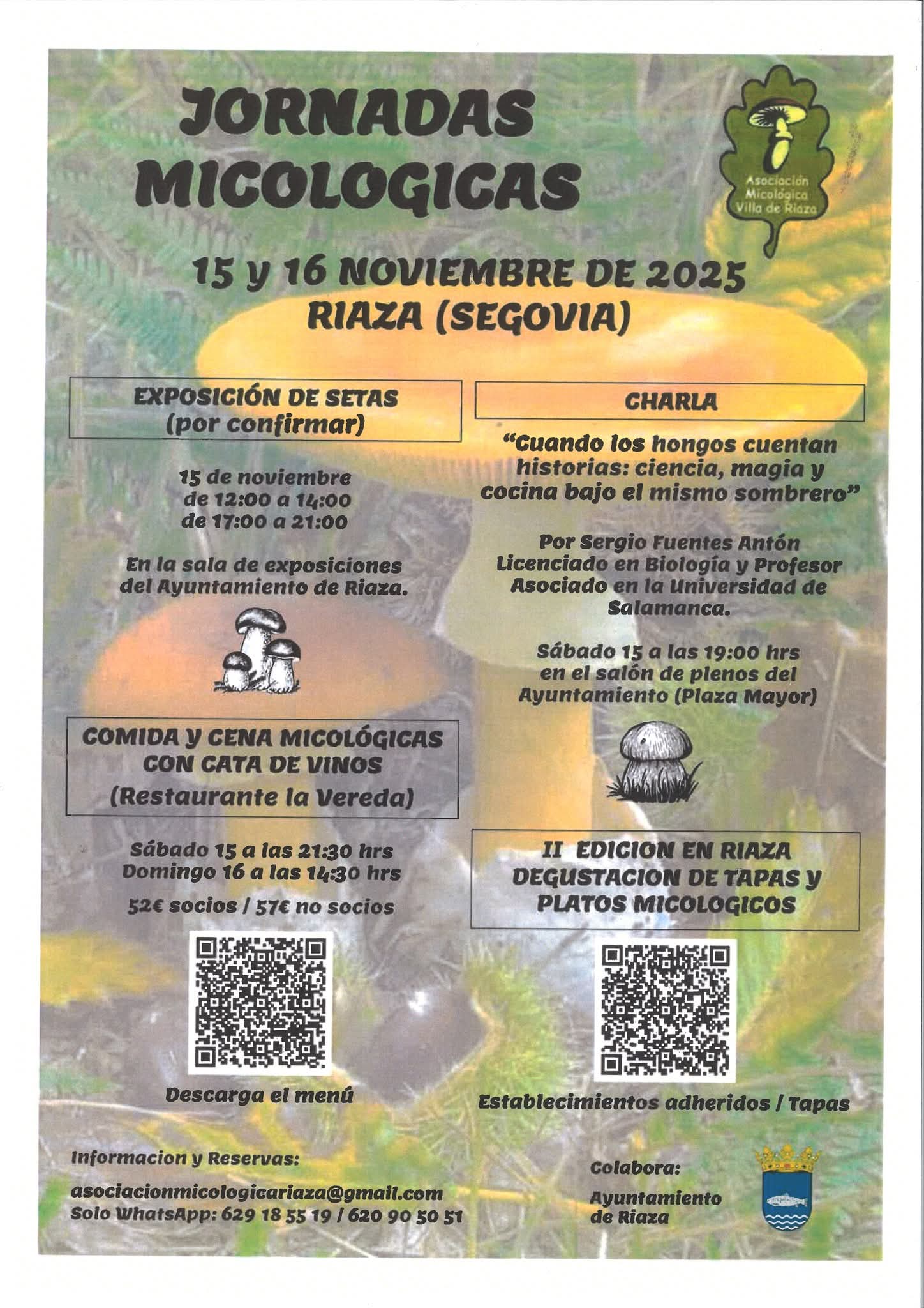 Jornadas Micológicas en Riaza