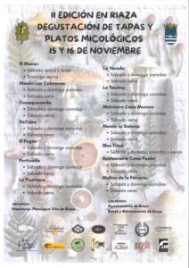 Jornadas Micológicas en Riaza