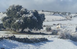 Ofertas de Enero 2026. Casas Rurales La Fuente