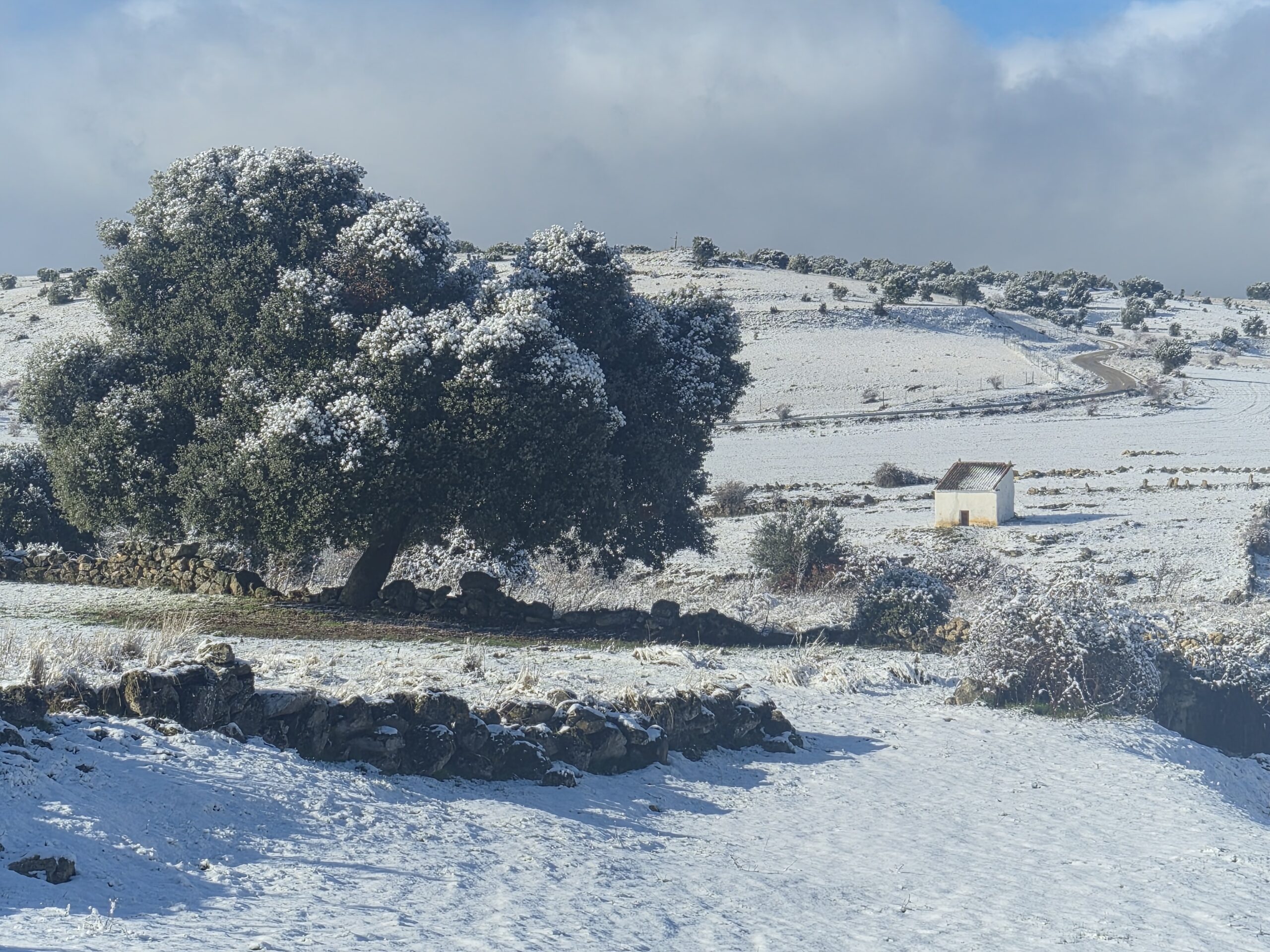 Ofertas de Enero 2026. Casas Rurales La Fuente
