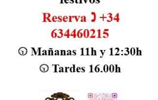 Visitas Guiadas por el Castillo de Turégano