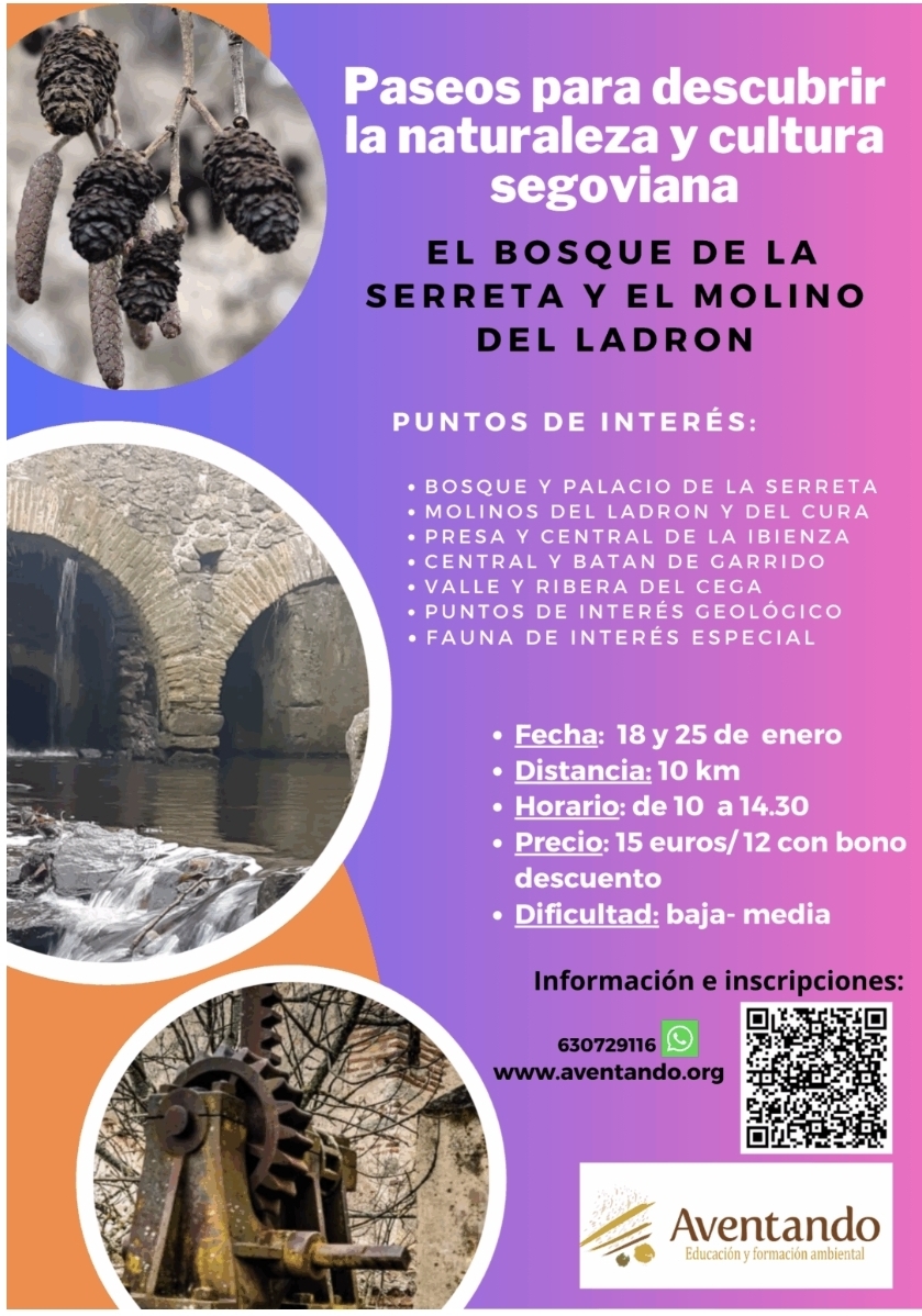 - Ruta Guiada por El Bosque de la Serreta y el molino del Ladrón.