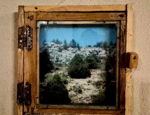 – Oferta del 20 al 22 de marzo. Casa rural La Fuente.