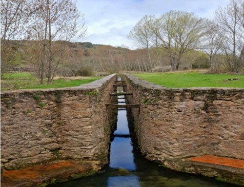 – Hidrogeodía 2026. Caballar.