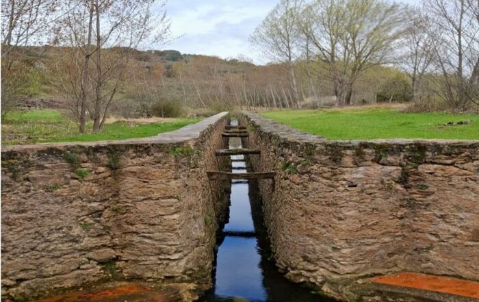 Hidrogeodía 2026. Caballar.