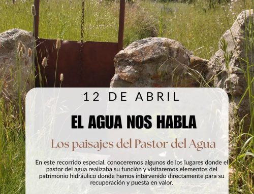 – Actividad en al Naturaleza. Pastores del Agua.