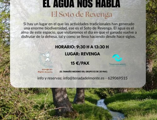 – Visita Guiada por el Soto de Revenga.