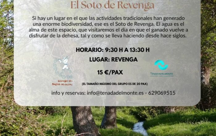 Visita Guiada por el Soto de Revenga