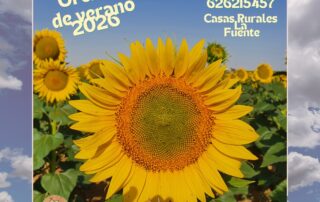 Ofertas de verano de 2026