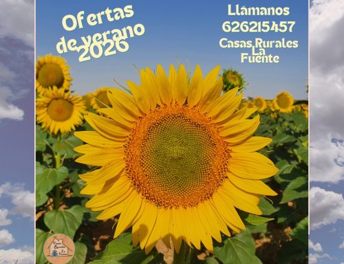 – Ofertas de verano de 2026.