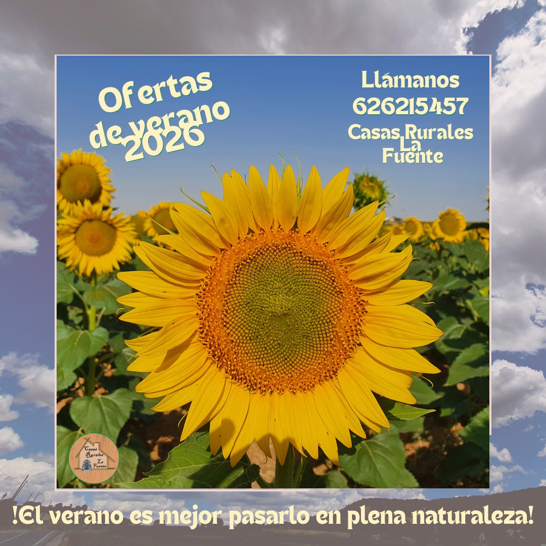 Ofertas de verano de 2026