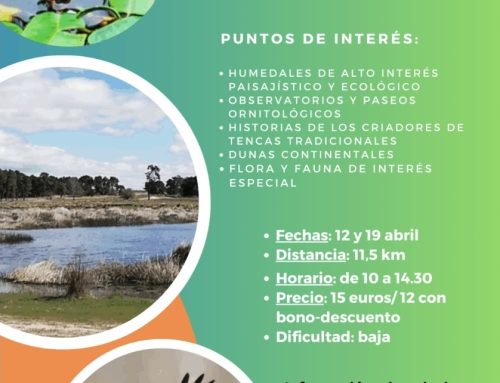 – Ruta guiada por las Lagunas de Cantalejo.