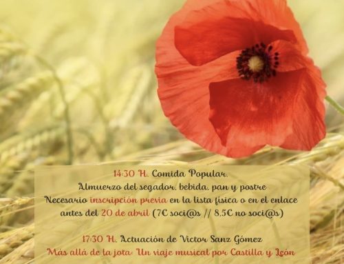 – Día de la Comunidad de Castilla y León.