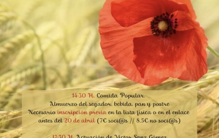 Día de la Comunidad de Castilla y León