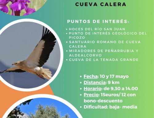 – Ruta por Las hoces del San Juan y el Santuario de Cueva Calera.