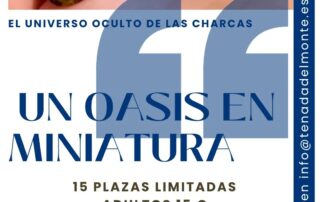 Taller de charcas.