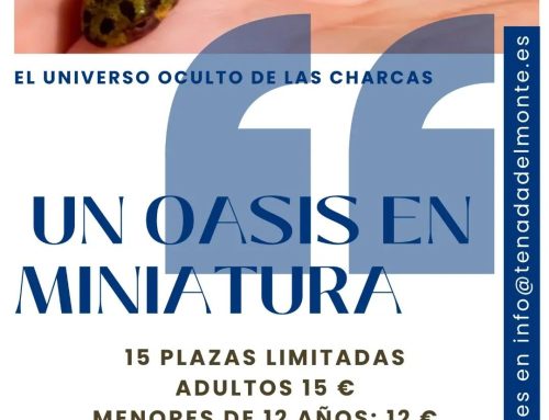 – Taller de charcas.
