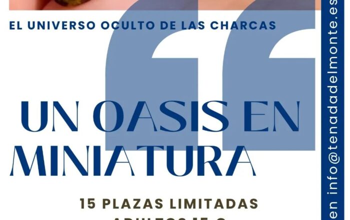 Taller de charcas.