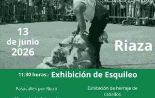 XVIII Fiesta del Esquileo Riaza