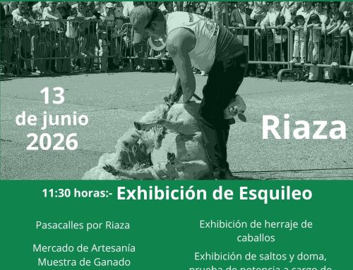 – XVIII Fiesta del Esquileo Riaza.