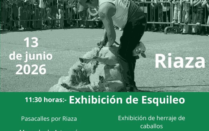 XVIII Fiesta del Esquileo Riaza