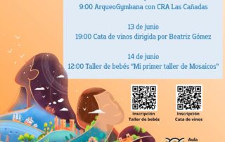 Aula Arqueológica de Aguilafuente
