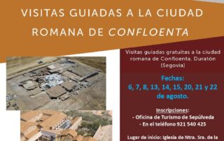 Visitas guiadas a la ciudad de Confloenta en Duratón.