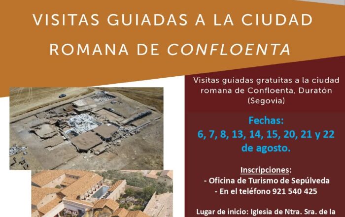 Visitas guiadas a la ciudad de Confloenta en Duratón.