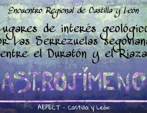 – VI Encuentro Regional de Castilla y León.