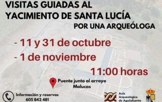 Visitas Guiadas al Yacimiento de Santa Lucía.