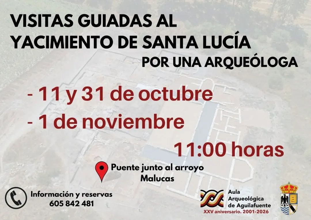 Visitas Guiadas al Yacimiento de Santa Lucía.