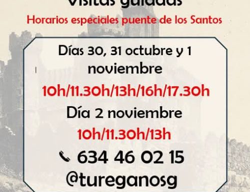 – Visitas Guiadas al Castillo de Turégano.