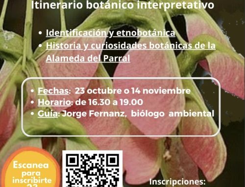 – Itinerario botánico interpretativo en la Alameda del Parral.