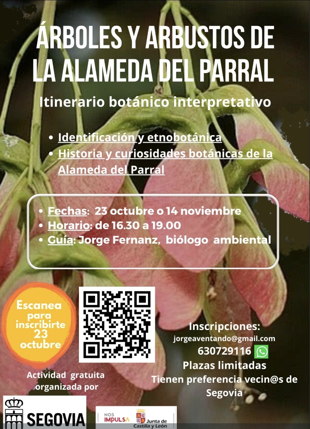 Itinerario botánico interpretativo en la Alameda del Parral.